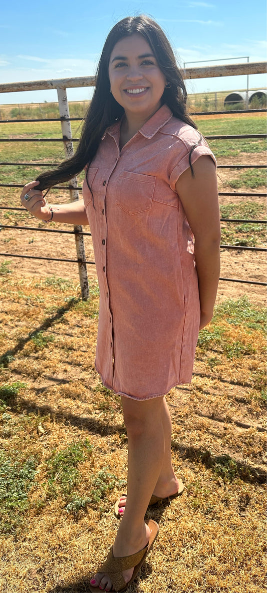 The Peachy Denim Dress